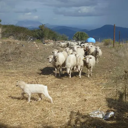 Agriturismo Sas Pretas Latas Siniscola
