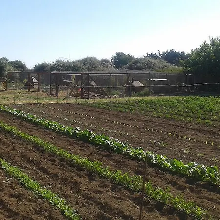 Çiftlik konaklama Agriturismo Sas Pretas Latas *