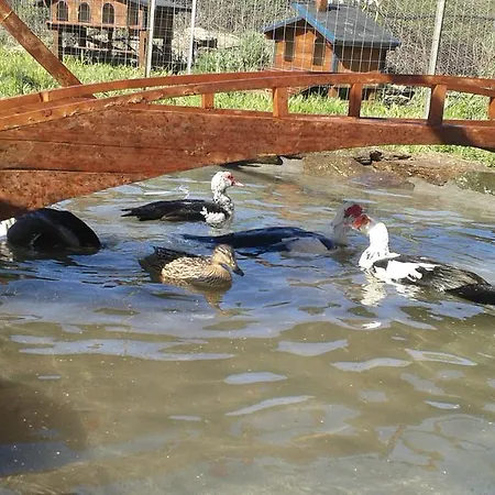 Agriturismo Sas Pretas Latas Çiftlik konaklama *