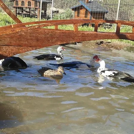 Agriturismo Sas Pretas Latas Farm stay *