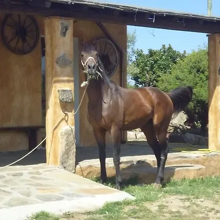 Agroturismo Agriturismo Sas Pretas Latas Siniscola