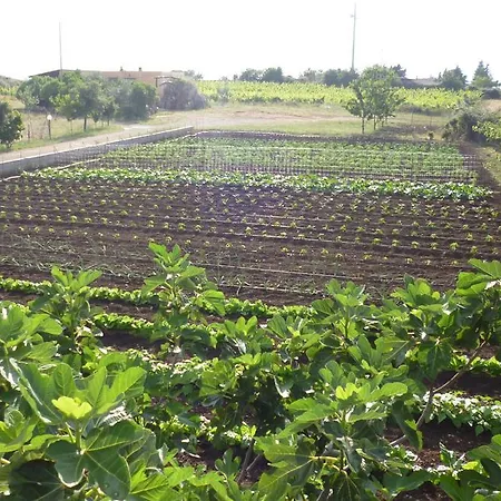 Farm stay Agriturismo Sas Pretas Latas *