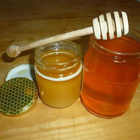 Agriturismo Sas Pretas Latas * Siniscola