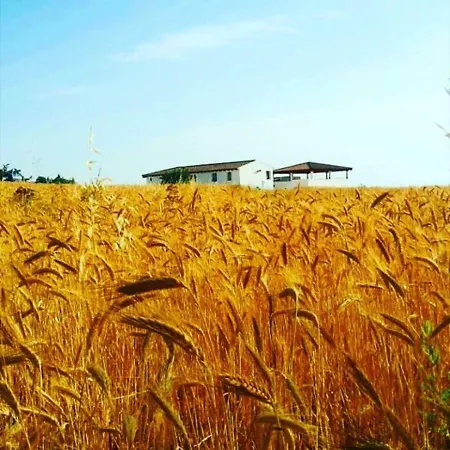 Çiftlik konaklama Agriturismo Sas Pretas Latas *